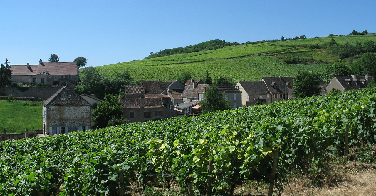 Wine Tasting in Burgundy France