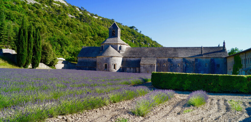 Provence France Lavender Fields